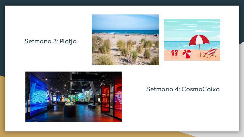 Imagen de la diapositiva