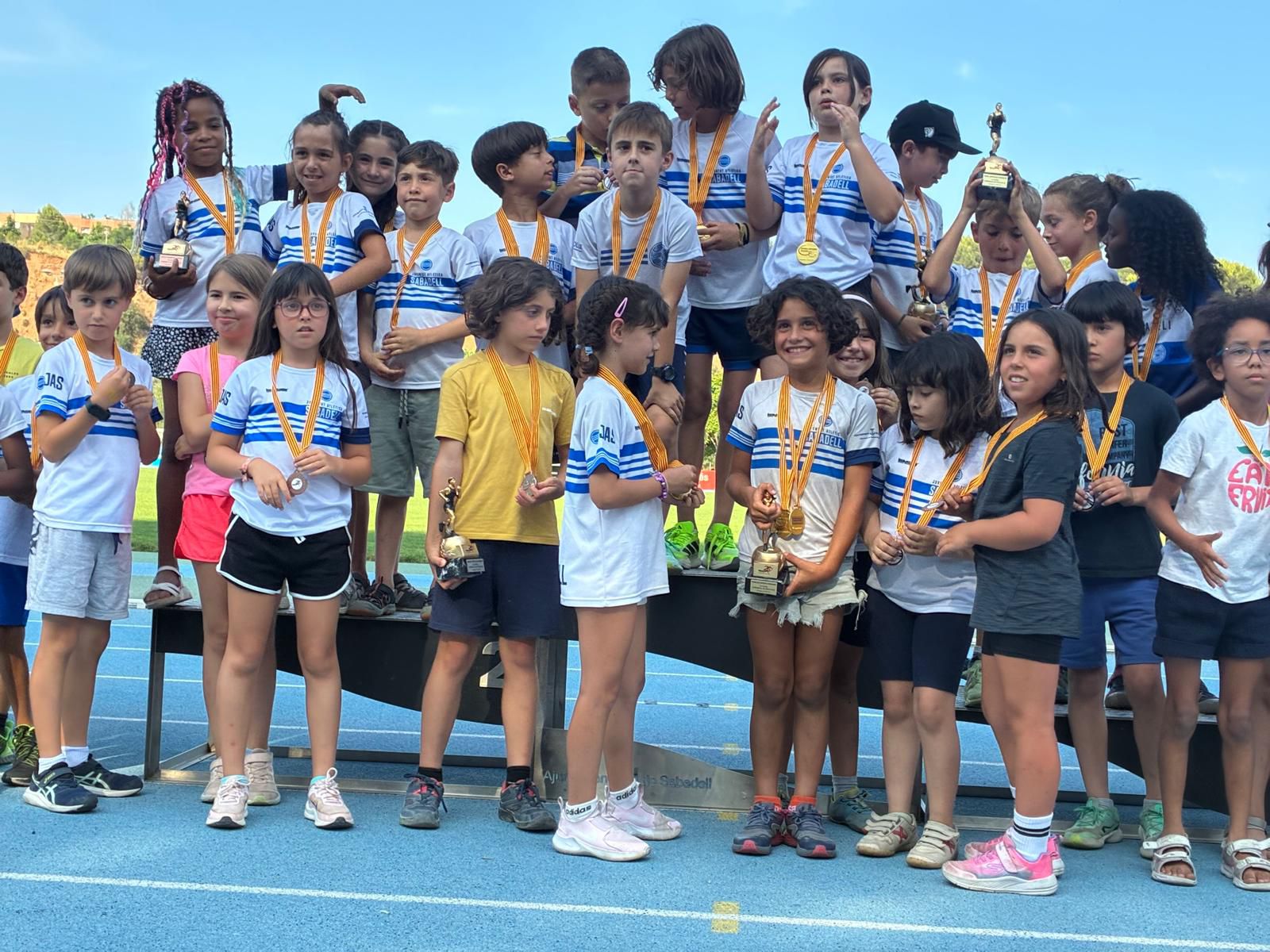 Imagen de la diapositiva